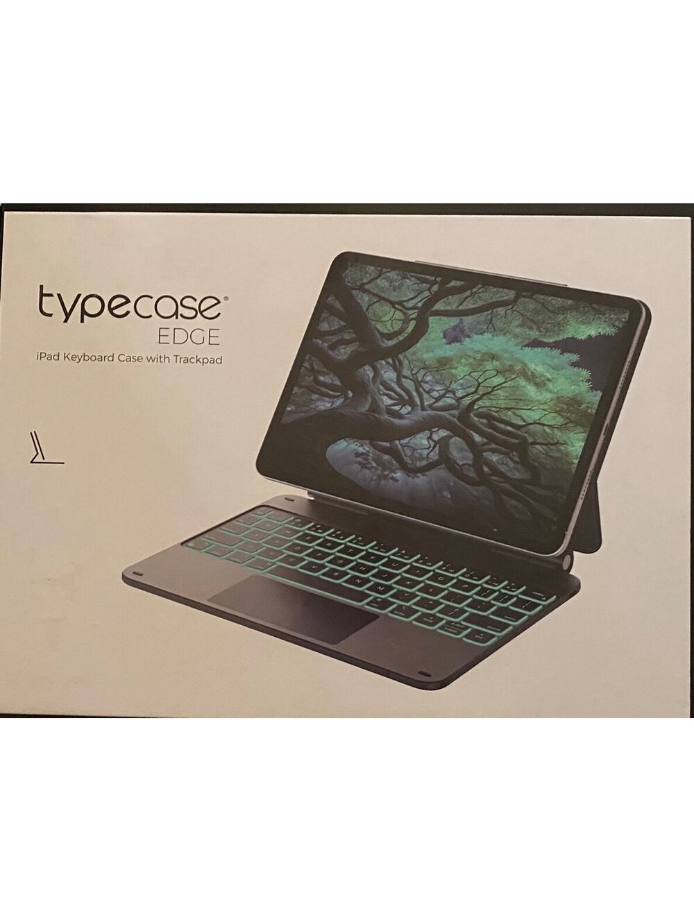 Typecase Edge Keyboard Case for iPad Pro 11”(M32025/M2 2024) Black